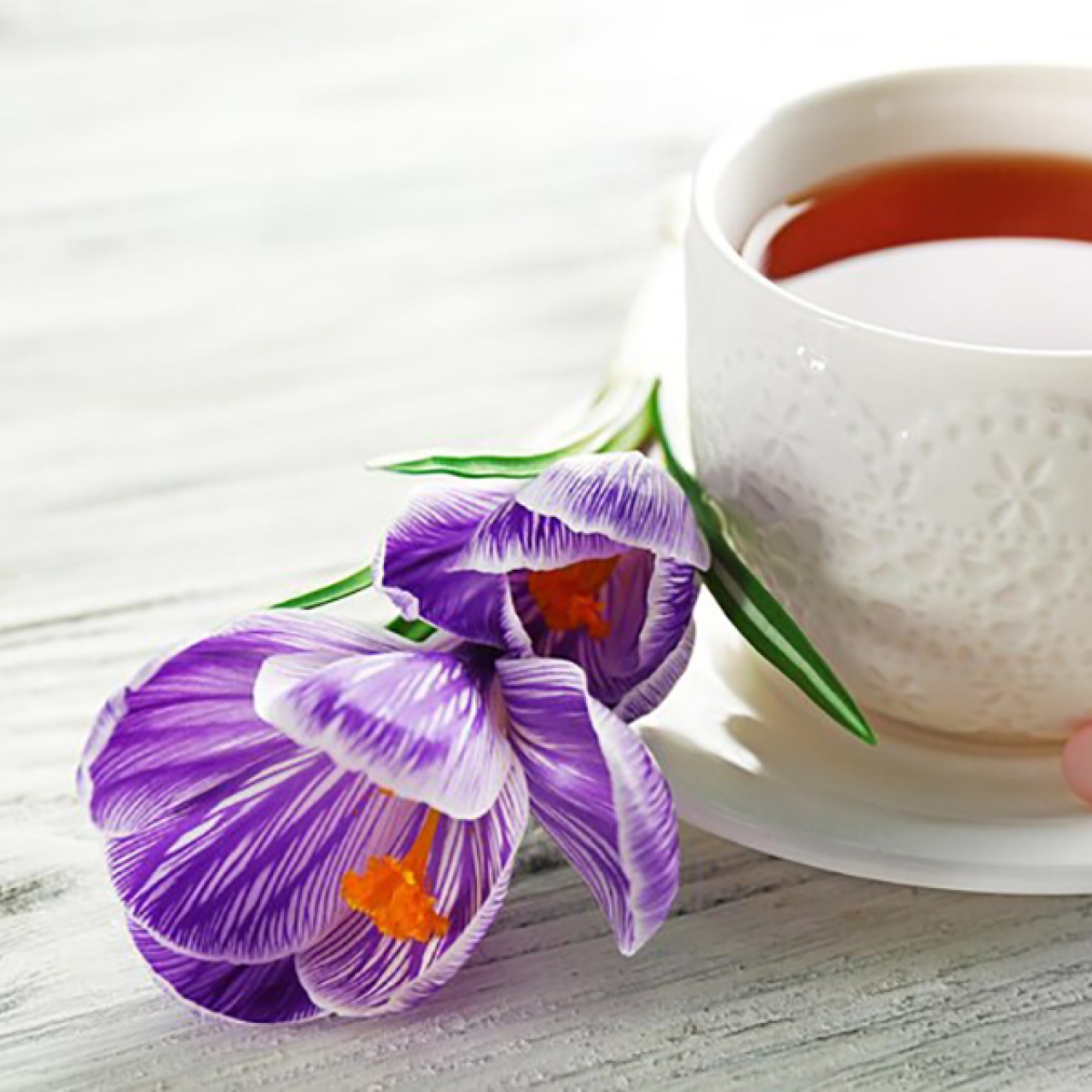 چای کرک زعفرانی بدون شکر پپتینا بسته 10 عددی